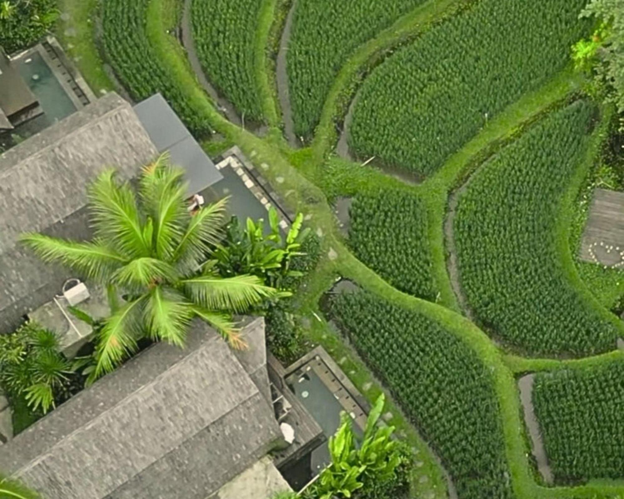 Menzel Ubud Dış mekan fotoğraf
